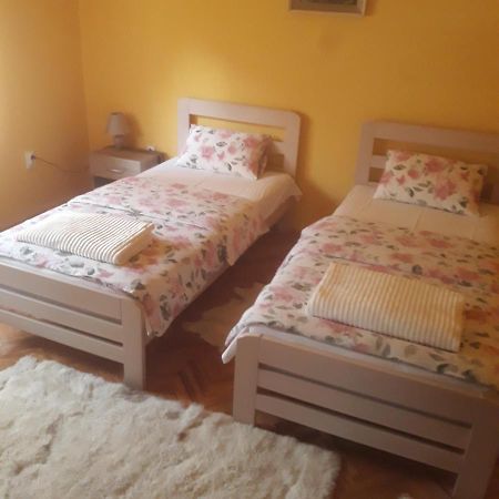 Apartman "Dom Stankovica" Pirot Exteriér fotografie