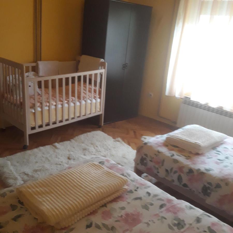 Apartman "Dom Stankovica" Pirot Exteriér fotografie