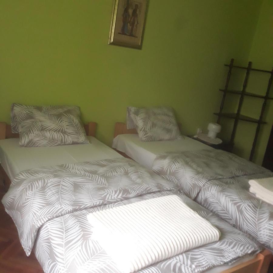 Apartman "Dom Stankovica" Pirot Exteriér fotografie