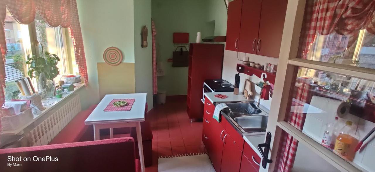 Apartman "Dom Stankovica" Pirot Exteriér fotografie