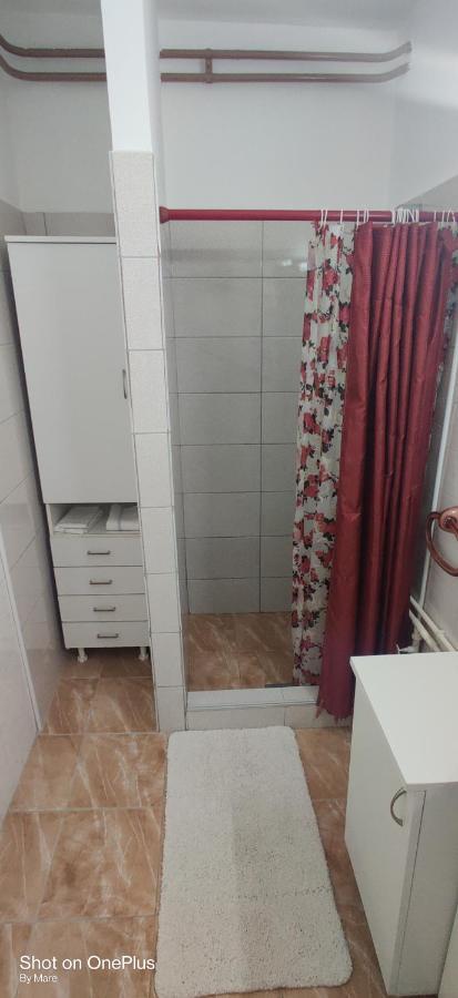 Apartman "Dom Stankovica" Pirot Exteriér fotografie