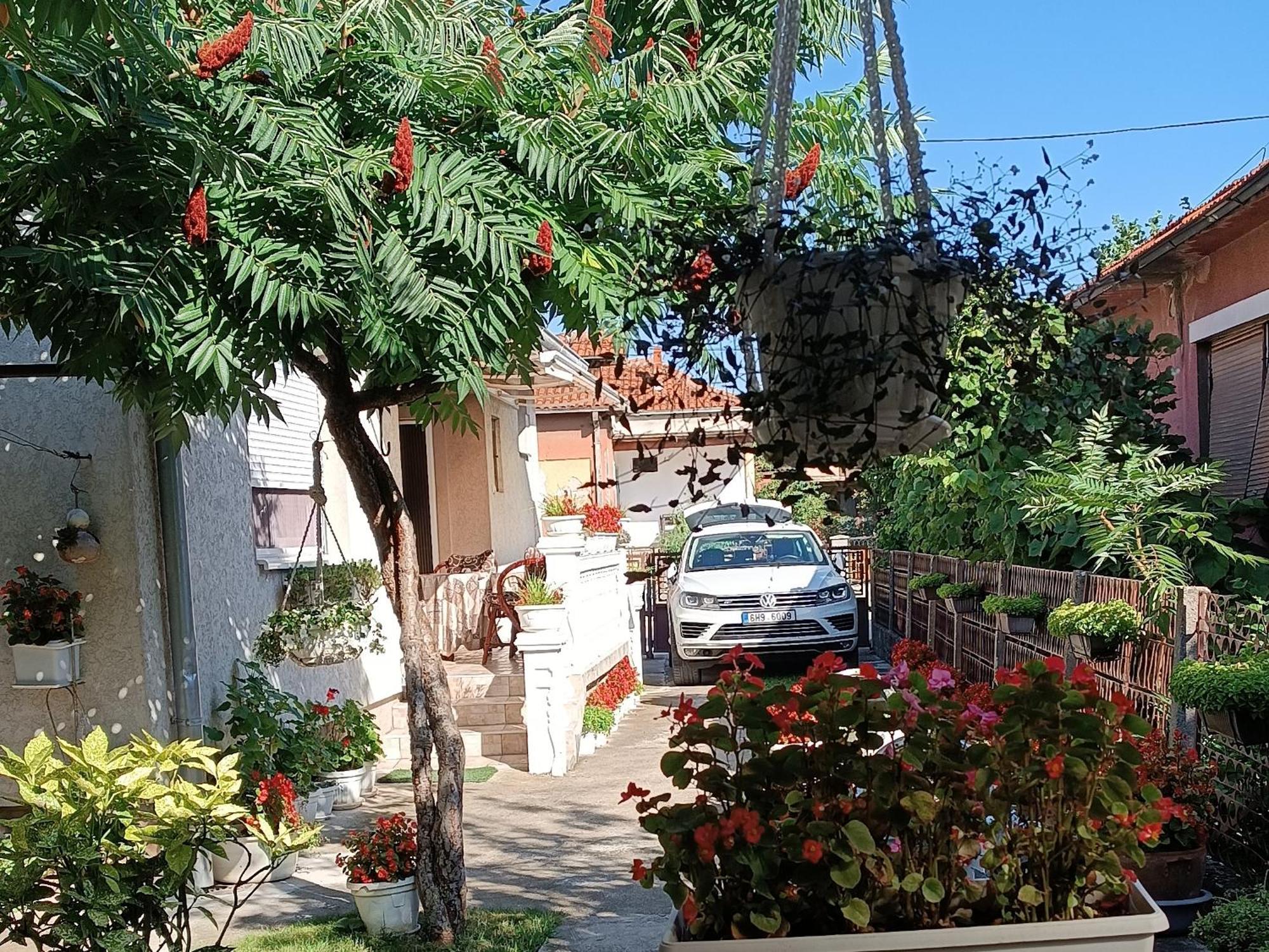 Apartman "Dom Stankovica" Pirot Exteriér fotografie