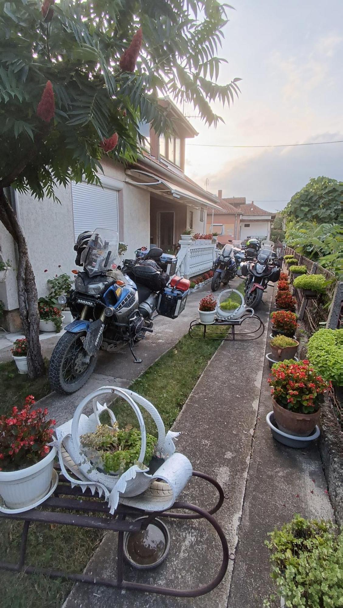 Apartman "Dom Stankovica" Pirot Exteriér fotografie