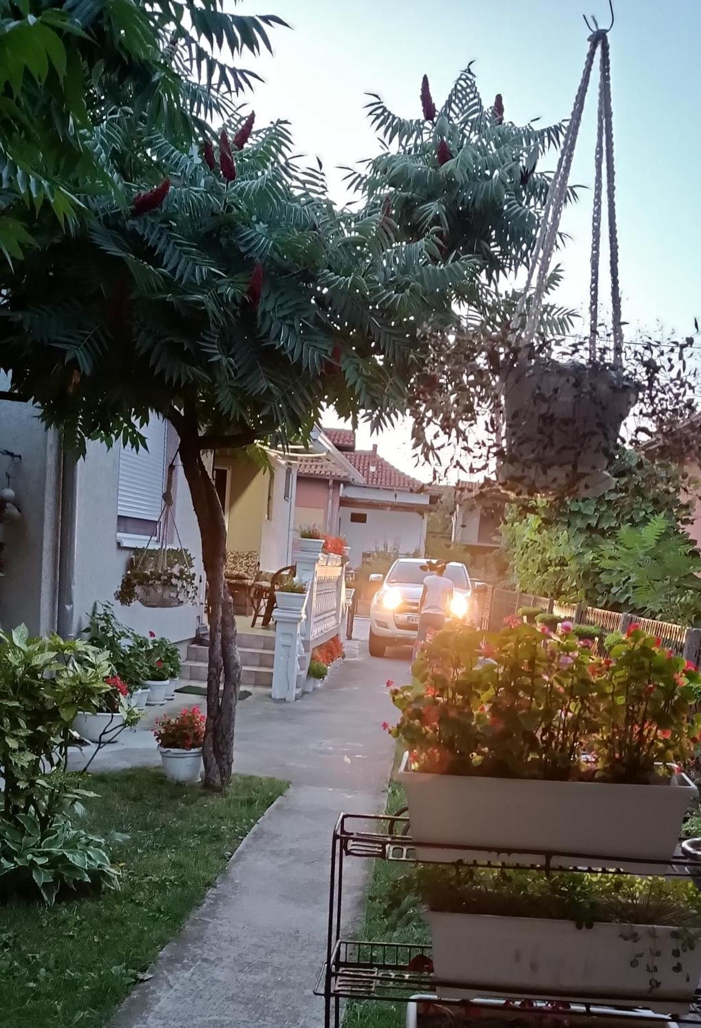 Apartman "Dom Stankovica" Pirot Exteriér fotografie